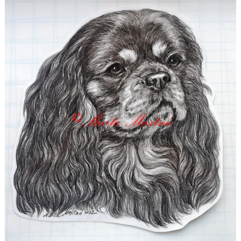 Samolepka kavalír king Charles španěl