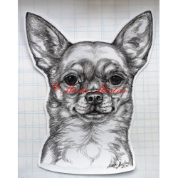 Samolepka čivava krátkosrstá, chihuahua