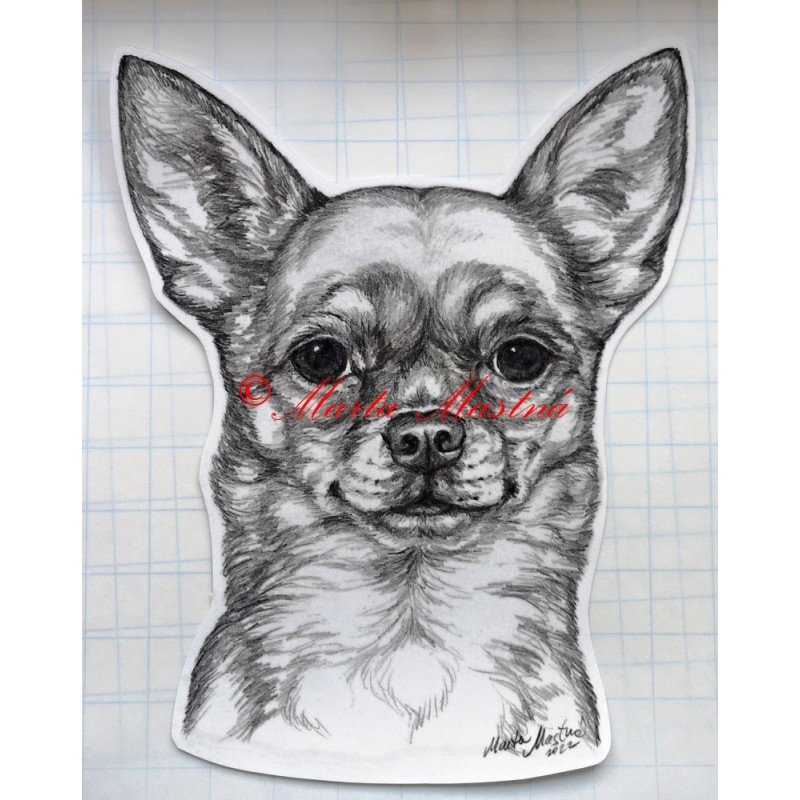 Samolepka čivava krátkosrstá, chihuahua