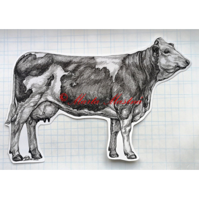 Samolepka kráva česká strakatá, skot