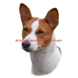Samolepka basenji
