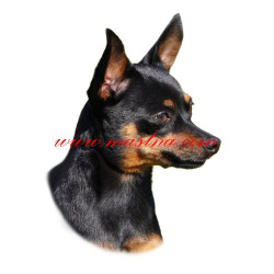 Samolepka pražský krysařík