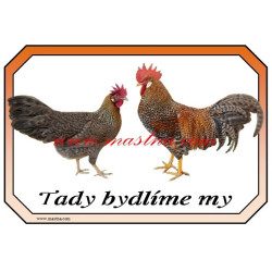 Cedulka drůbež slepice, kohout, vlaška rodobarvá