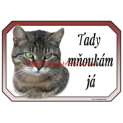 Cedulka kočka evropská tygrovaná, mourovatá
