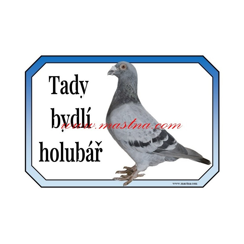 Cedulka holub poštovní