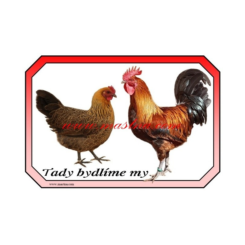Cedulka slepice, kohout, drůbež, česká zlatá kropenka