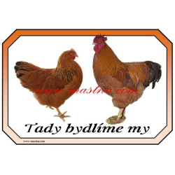Cedulka drůbež slepice, kohout, hempšírka