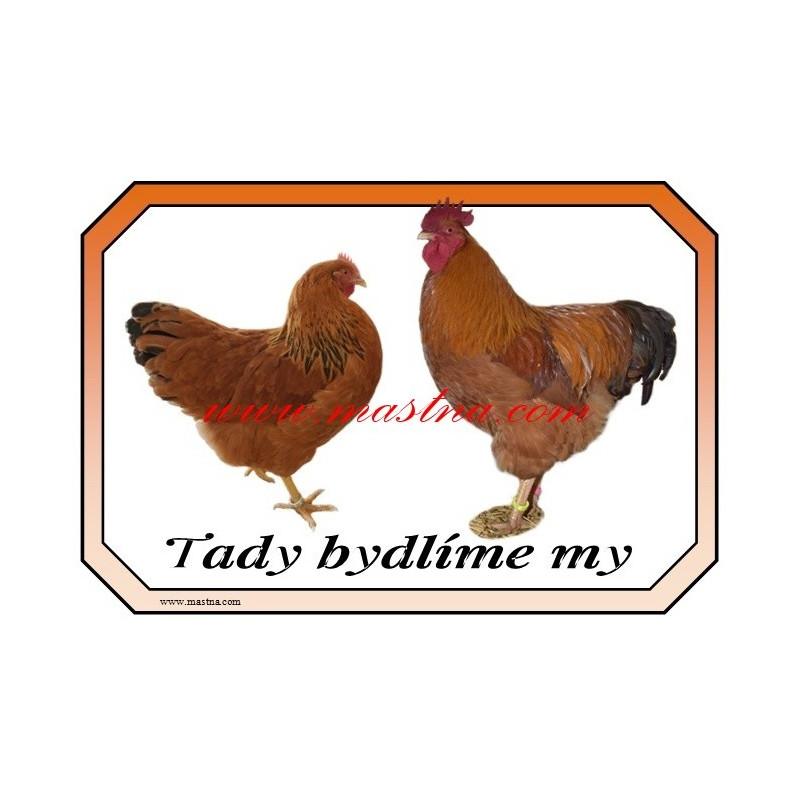 Cedulka drůbež slepice, kohout, hempšírka