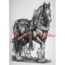 Samolepka koně chladnokrevníci, spřežení