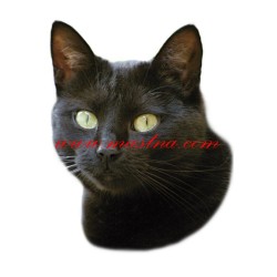 Samolepka kočka evropská černá