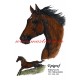 Obraz plnokrevník Epigraf, Velká pardubická, kůň, koně, perokresba - tisk