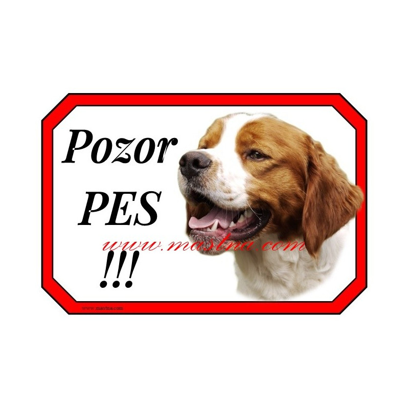 Cedulka ohař bretaňský