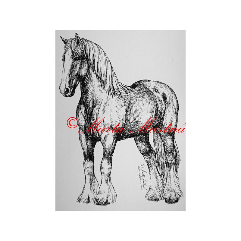 Samolepka koně chladnokrevníci, spřežení