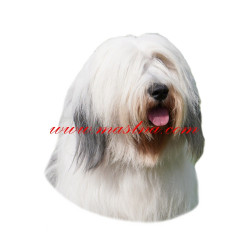 Samolepka polský nížinný ovčák