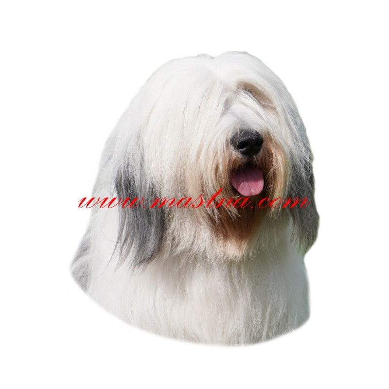 Samolepka polský nížinný ovčák