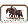 Tabulka koně, chladnokrevníci, sedlák