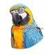 Samolepka papoušek ara