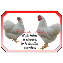 Cedulka drůbež slepice, kohout,vyandotka zdrobnělá