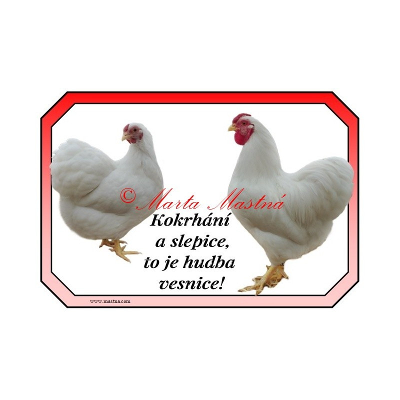 Cedulka drůbež slepice, kohout,vyandotka zdrobnělá