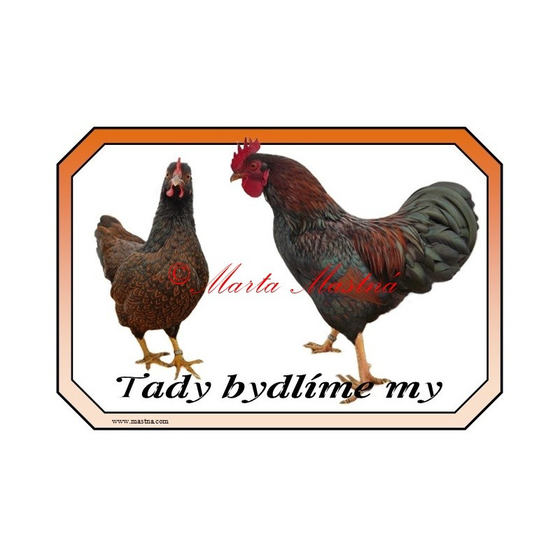 Cedulka drůbež slepice, kohout, barneveldka zdrobnělá dvojlemovaná