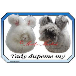 Cedulka králík angora, angorský