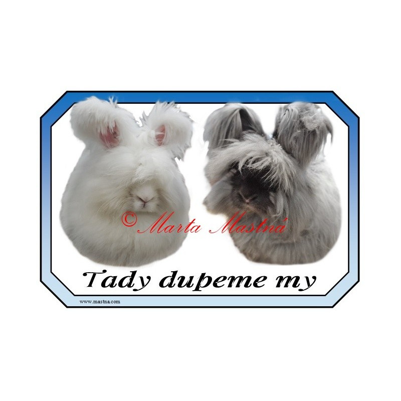 Cedulka králík angora, angorský