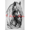 Samolepka kůň chladnokrevník, českomoravský belgik