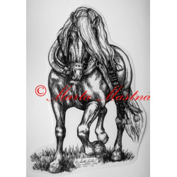 Samolepka kůň chladnokrevník