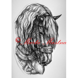 Samolepka kůň chladnokrevník, norik