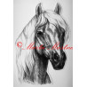 Samolepka kůň hafling