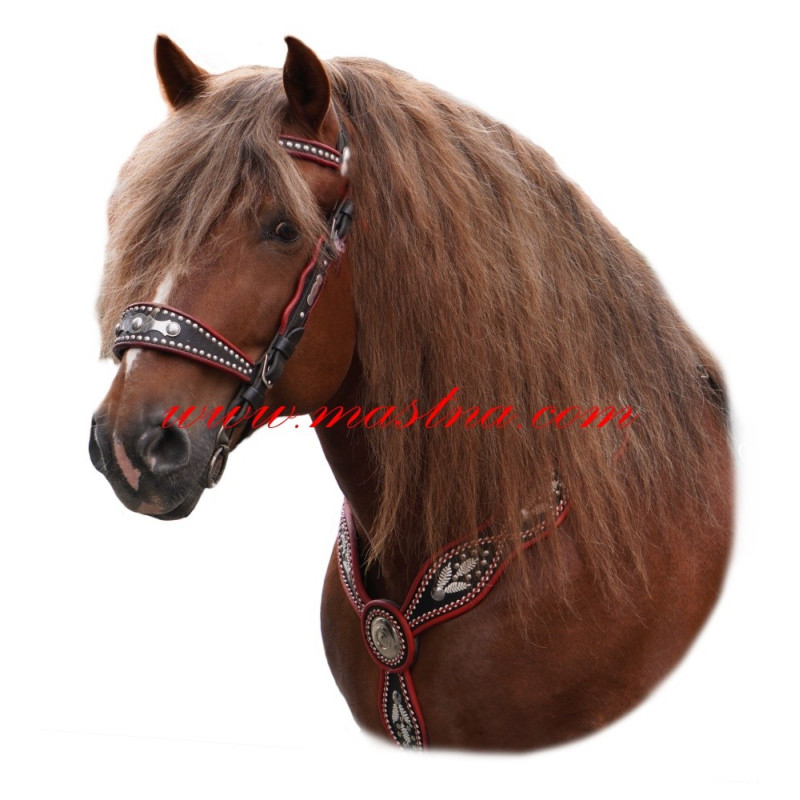 Samolepka českomoravský belgik, kůň, koně