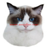 Samolepka kočka ragdoll