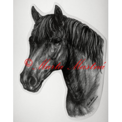 Samolepka kůň hucul, pony