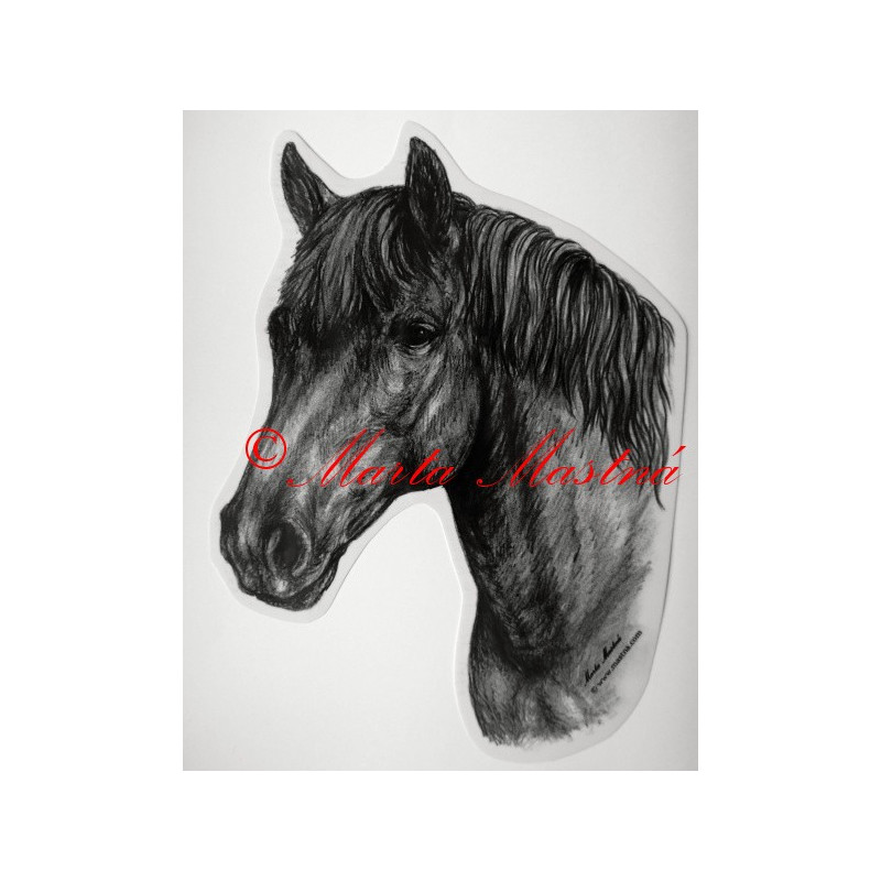 Samolepka kůň hucul, pony