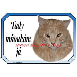 Cedulka kočka maine coon, mainská