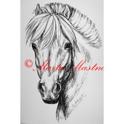 Samolepka kůň fjordský pony