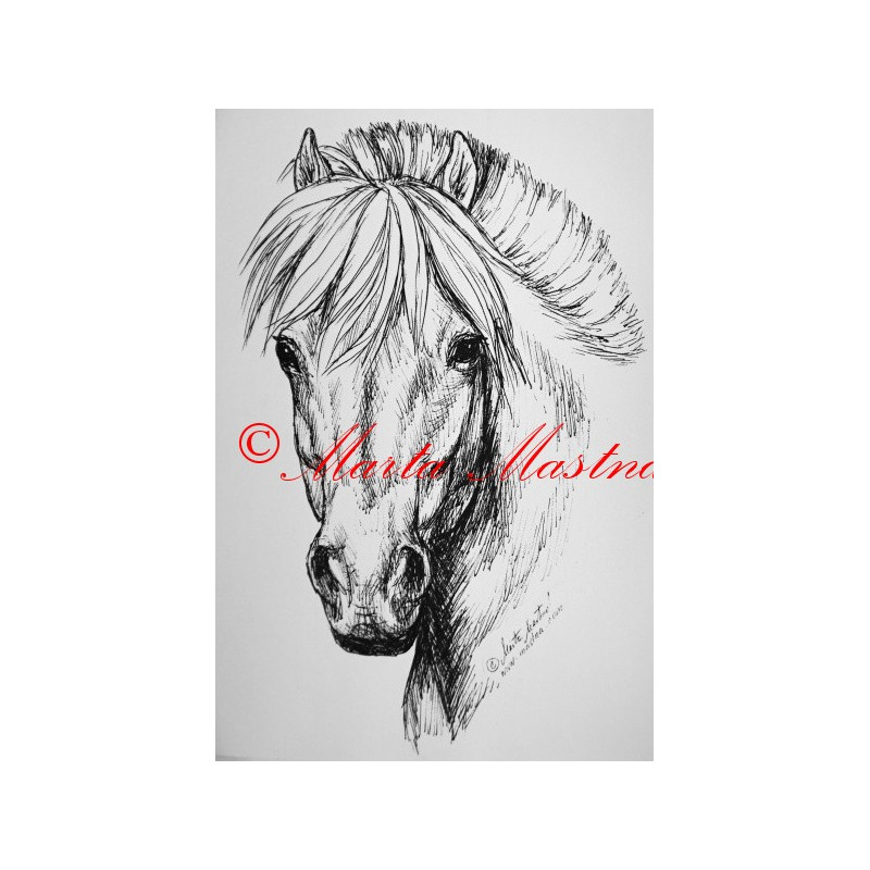 Samolepka kůň fjordský pony