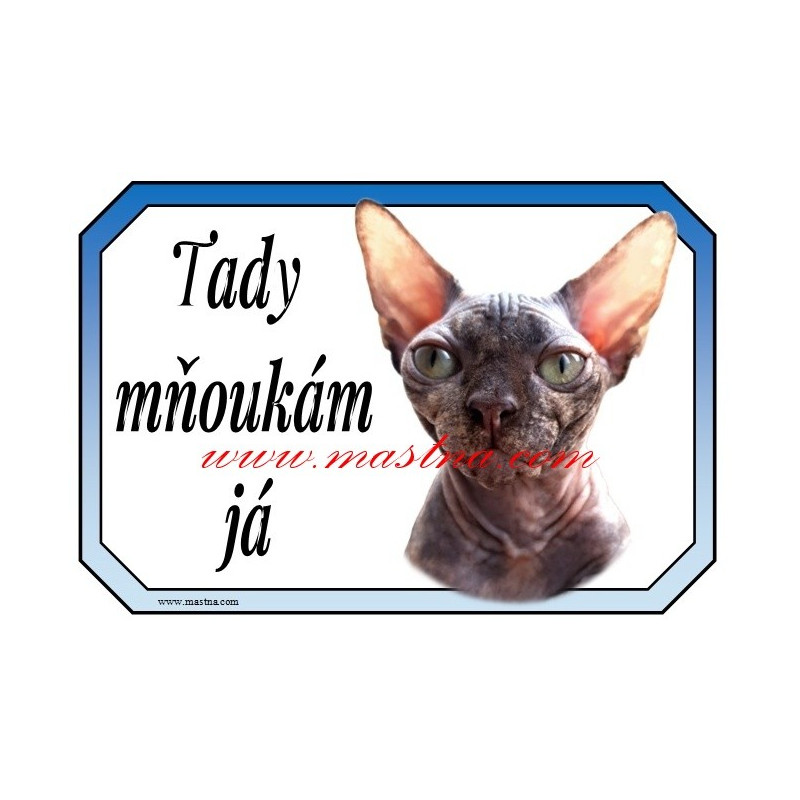 Cedulka kočka sphynx, sfinx