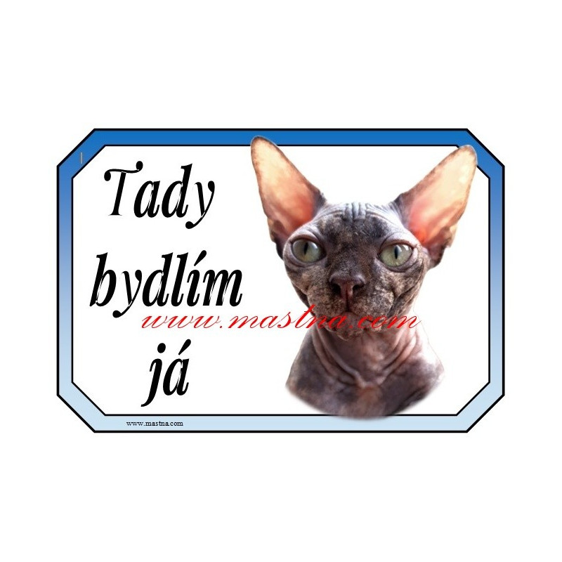 Cedulka kočka sphynx, sfinx