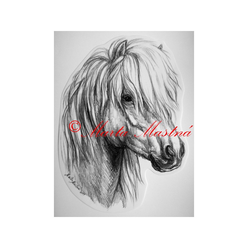Samolepka kůň pony shetland islandský