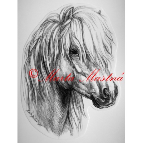 Samolepka kůň pony shetland islandský