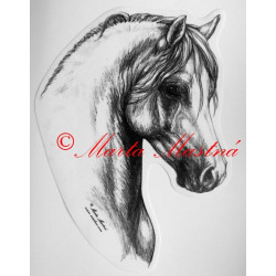 Samolepka kůň pony, velšpony