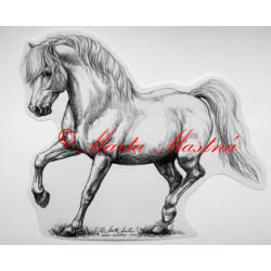 Samolepka kůň pony, velšpony