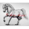 Samolepka kůň pony, velšpony