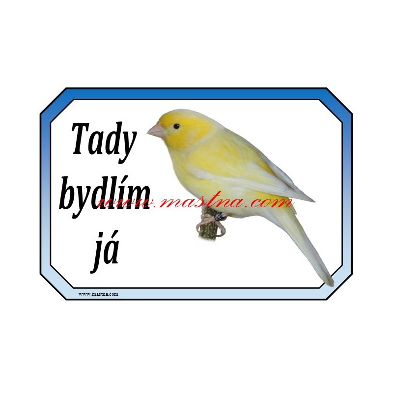 Cedulka kanárek