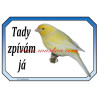 Cedulka kanárek