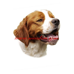 Samolepka bretaňský ohař