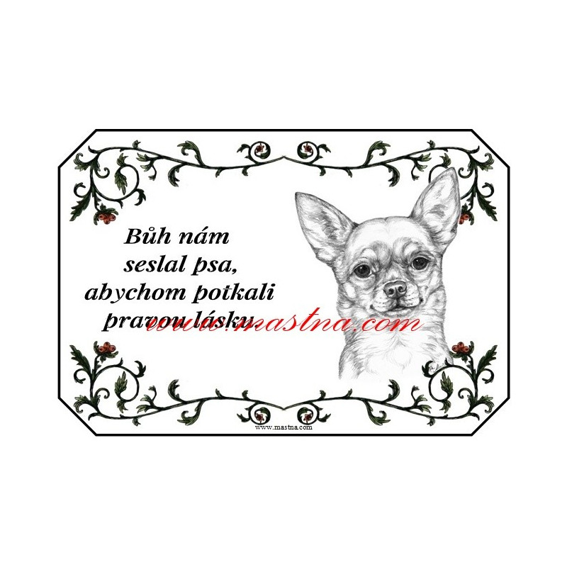 Cedulka čivava, chihuahua