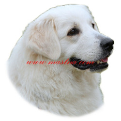 Samolepka slovenský čuvač