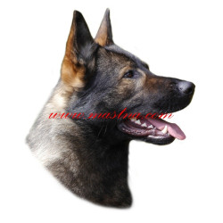 Samolepka německý ovčák